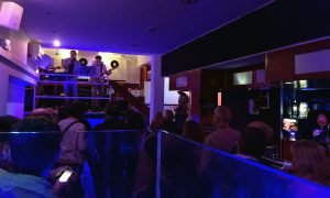 Gato Pardo (Las Arenas)